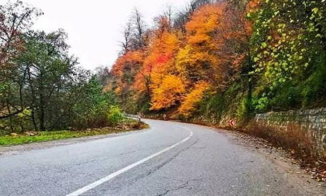 جاده ماسوله با درختان زرد پائیزی